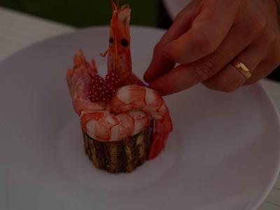 Gamberi decorati su tronco, piatto gourmet.
