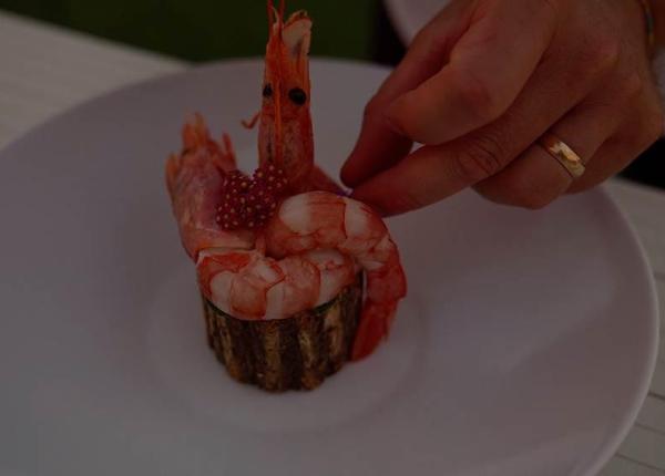 Gamberi decorati su tronco, piatto gourmet.